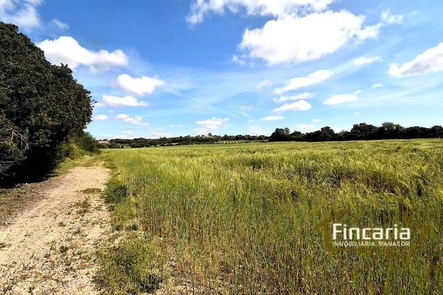 Landgrundstück zu verkaufen in Felanitx - 192.000 € (Ref: 8956407)