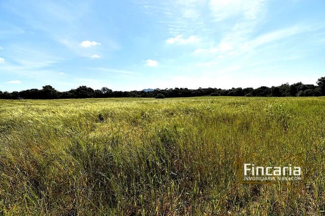 Landgrundstück zu verkaufen in Felanitx - 192.000 € (Ref: 8956407)