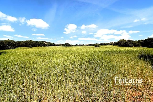 Landgrundstück zu verkaufen in Felanitx - 192.000 € (Ref: 8956407)