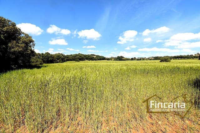 Landgrundstück zu verkaufen in Felanitx - 192.000 € (Ref: 8956407)