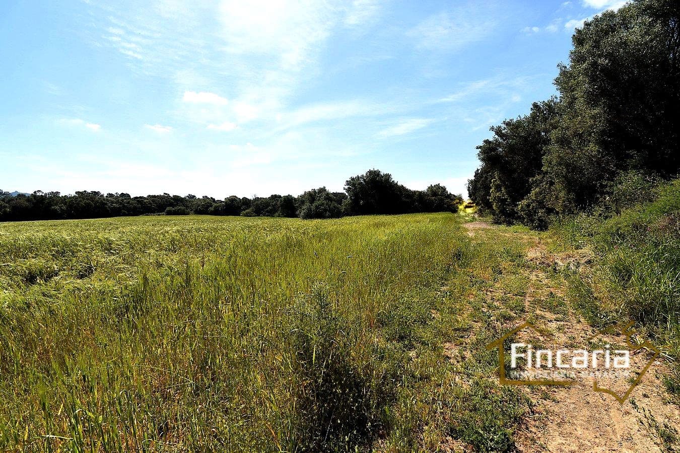 Teren niezagospodarowany na sprzedaż w Felanitx - 192 000 € (Ref: 8956407)