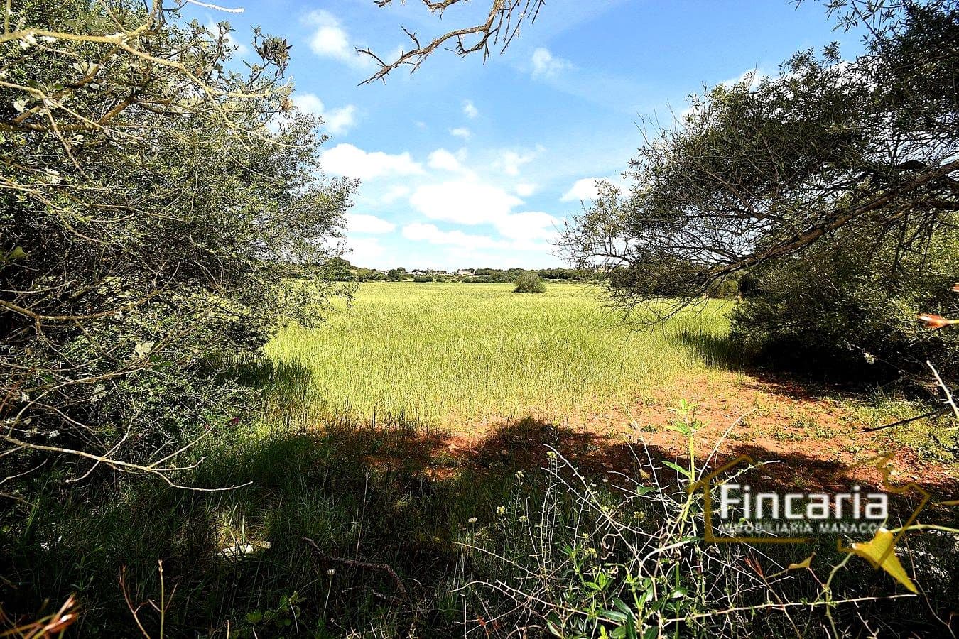 Teren niezagospodarowany na sprzedaż w Felanitx - 192 000 € (Ref: 8956407)