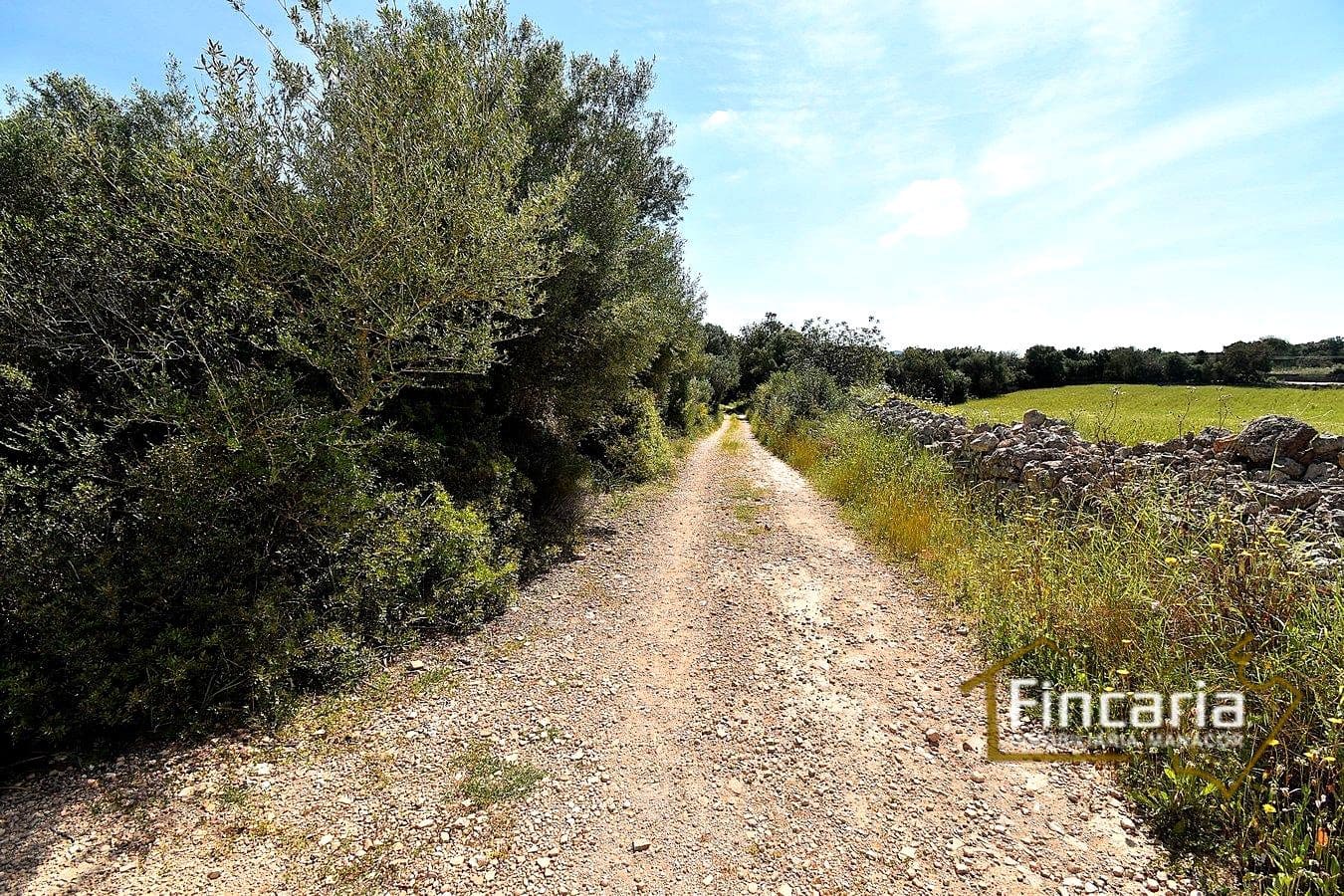 Teren niezagospodarowany na sprzedaż w Felanitx - 192 000 € (Ref: 8956407)