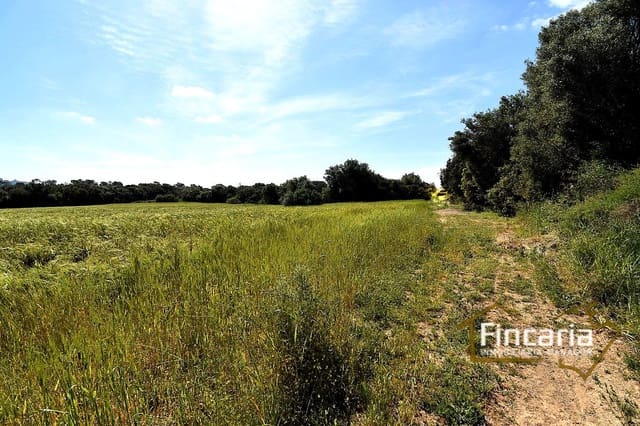 Landgrundstück zu verkaufen in Felanitx - 192.000 € (Ref: 8956407)