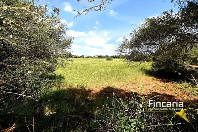 Landgrundstück zu verkaufen in Felanitx - 192.000 € (Ref: 8956407)