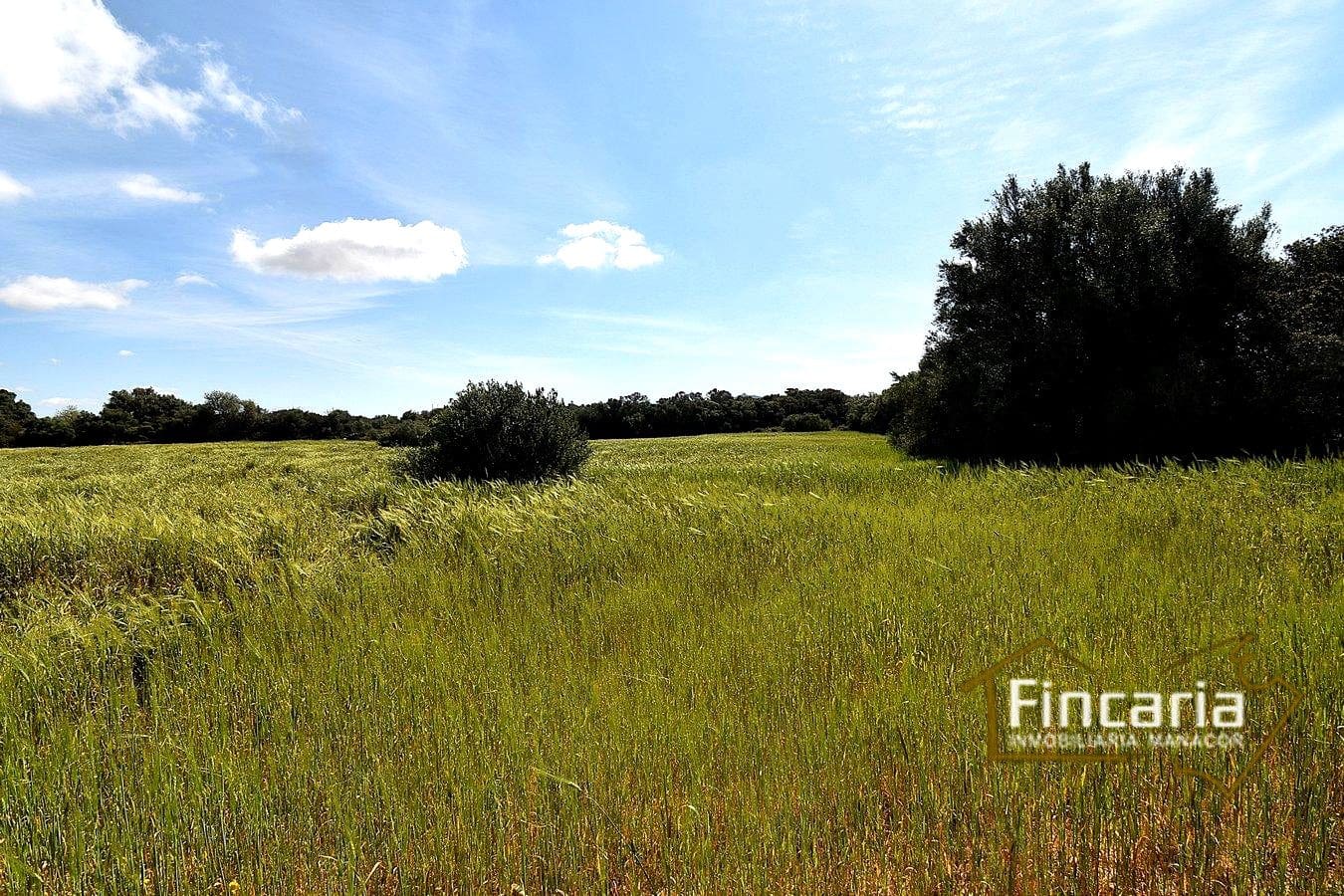 Grond te koop in Felanitx - € 192.000 (Ref: 8956407)