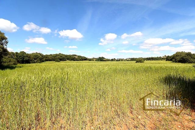 Landgrundstück zu verkaufen in Felanitx - 192.000 € (Ref: 8956407)