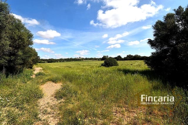 Landgrundstück zu verkaufen in Felanitx - 192.000 € (Ref: 8956407)