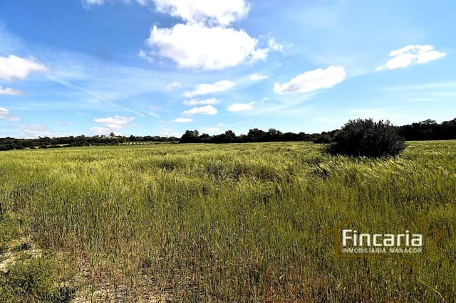 Landgrundstück zu verkaufen in Felanitx - 192.000 € (Ref: 8956407)
