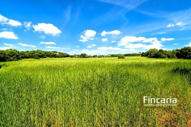 Landgrundstück zu verkaufen in Felanitx - 192.000 € (Ref: 8956407)