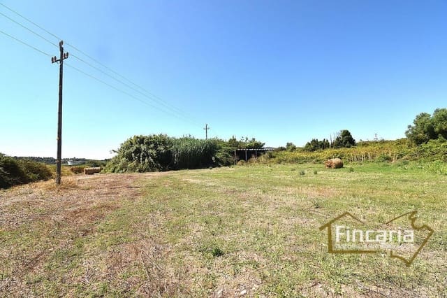 3 makuuhuone Maalaistalo myytävänä paikassa Manacor - 325 000 € (Ref: 9124398)