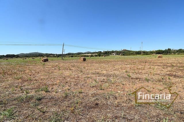 3 makuuhuone Maalaistalo myytävänä paikassa Manacor - 325 000 € (Ref: 9124398)