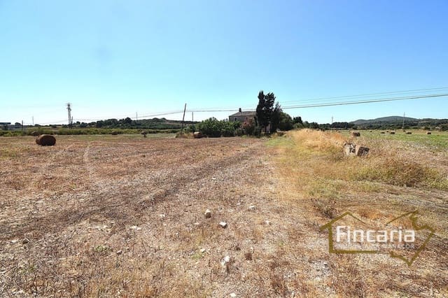 3 makuuhuone Maalaistalo myytävänä paikassa Manacor - 325 000 € (Ref: 9124398)