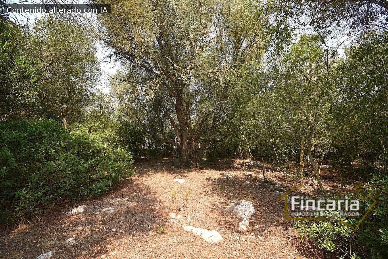 2 makuuhuone Maalaistalo myytävänä paikassa Manacor - 650 000 € (Ref: 9167488)