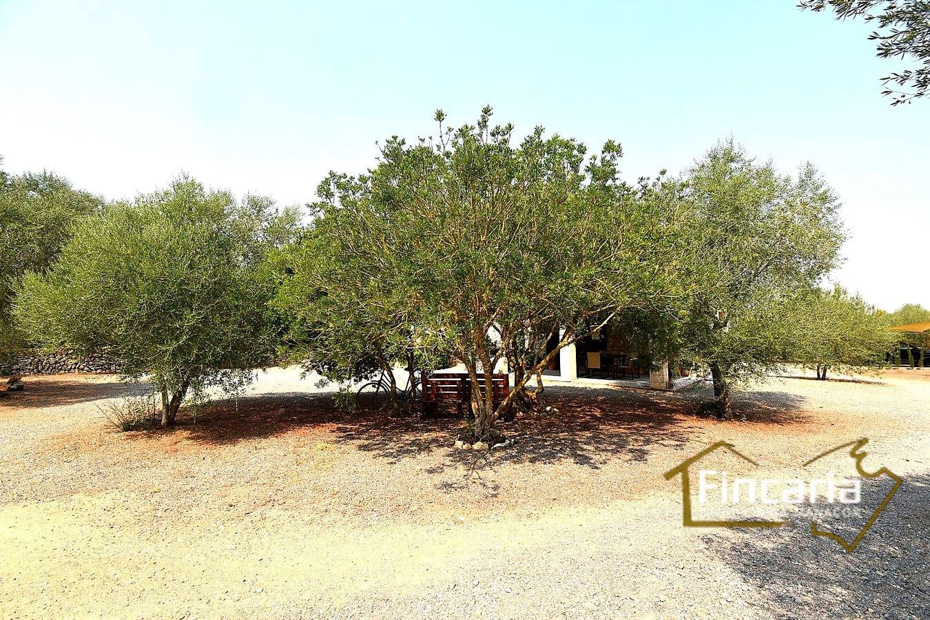 2 quarto Quinta/Casa Rural para venda em Manacor - 675 000 € (Ref: 9167488)