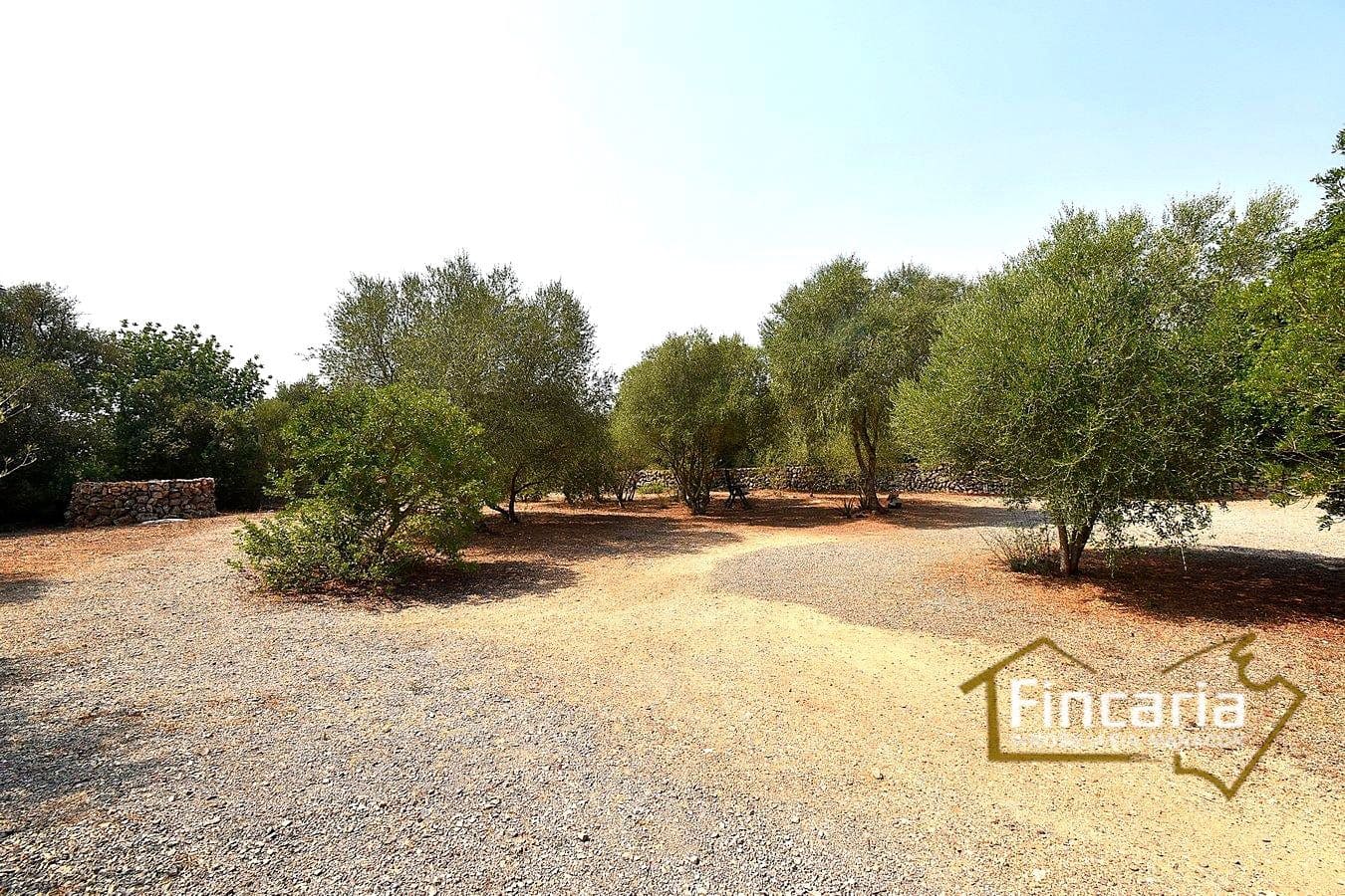 2 quarto Quinta/Casa Rural para venda em Manacor - 675 000 € (Ref: 9167488)