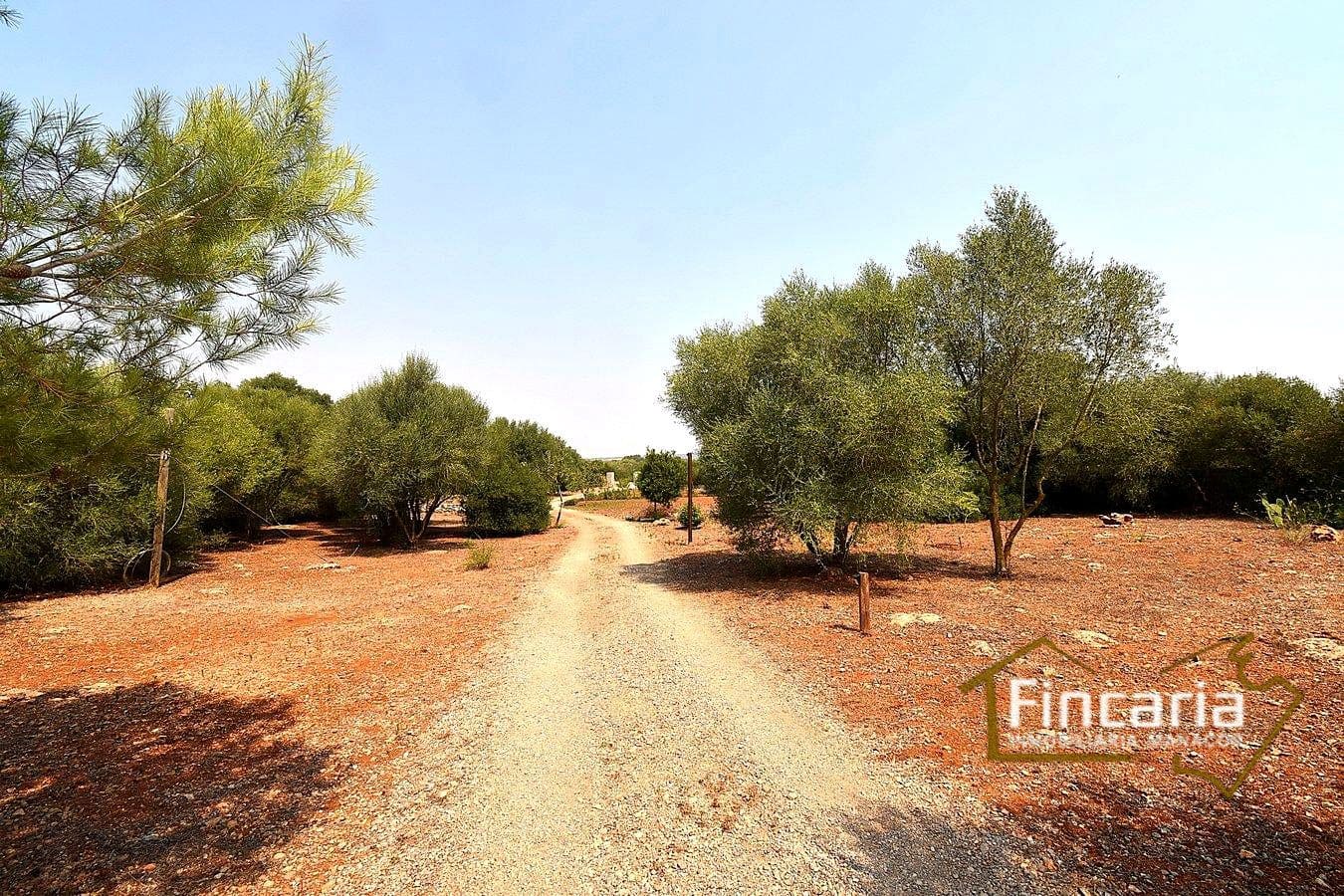 2 quarto Quinta/Casa Rural para venda em Manacor - 675 000 € (Ref: 9167488)