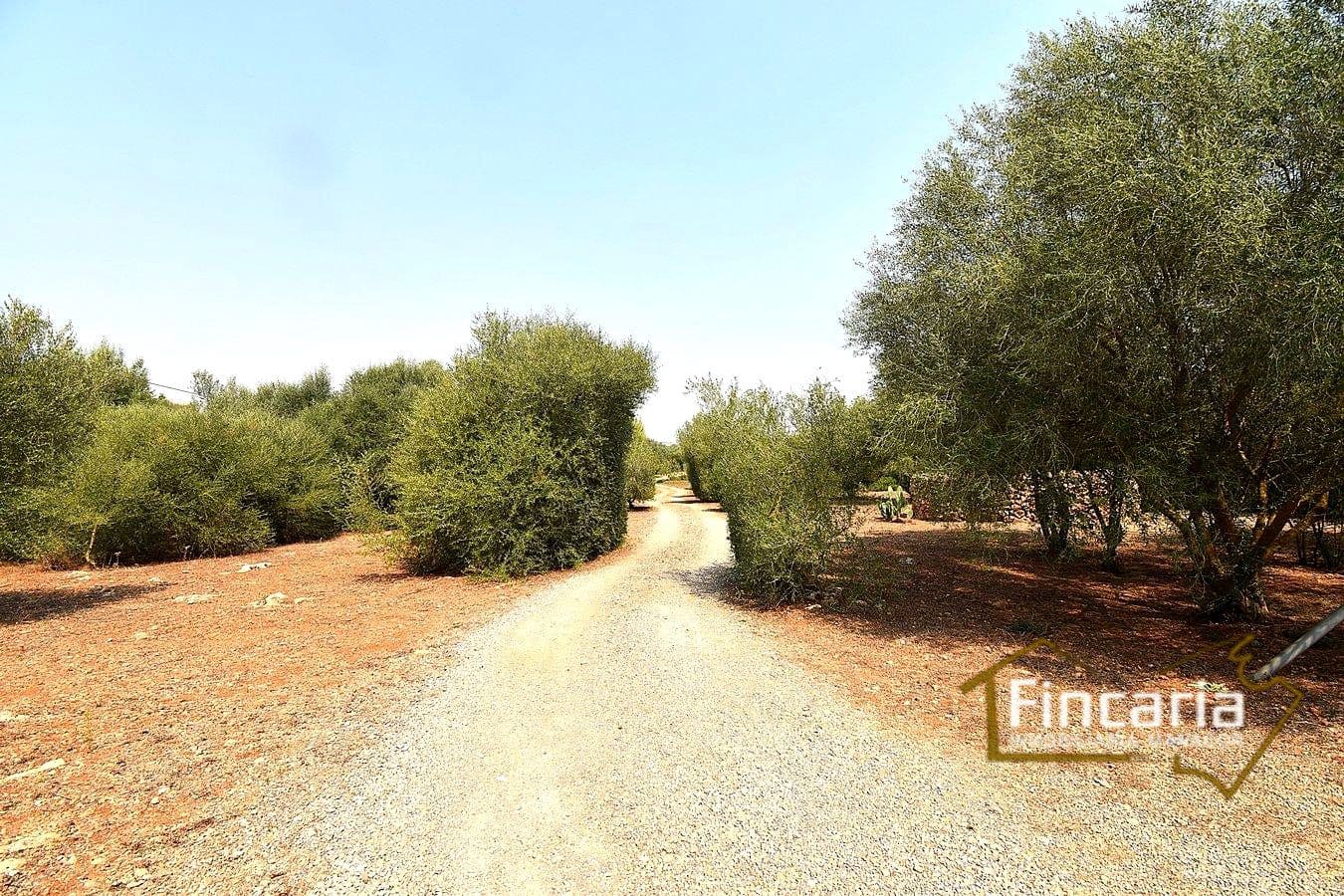 2 quarto Quinta/Casa Rural para venda em Manacor - 675 000 € (Ref: 9167488)