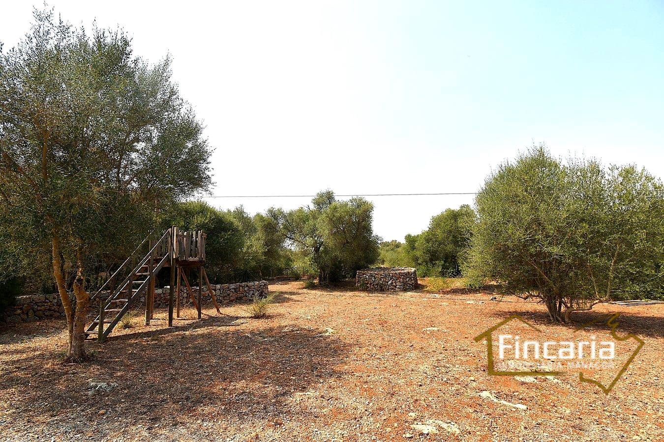 2 quarto Quinta/Casa Rural para venda em Manacor - 675 000 € (Ref: 9167488)