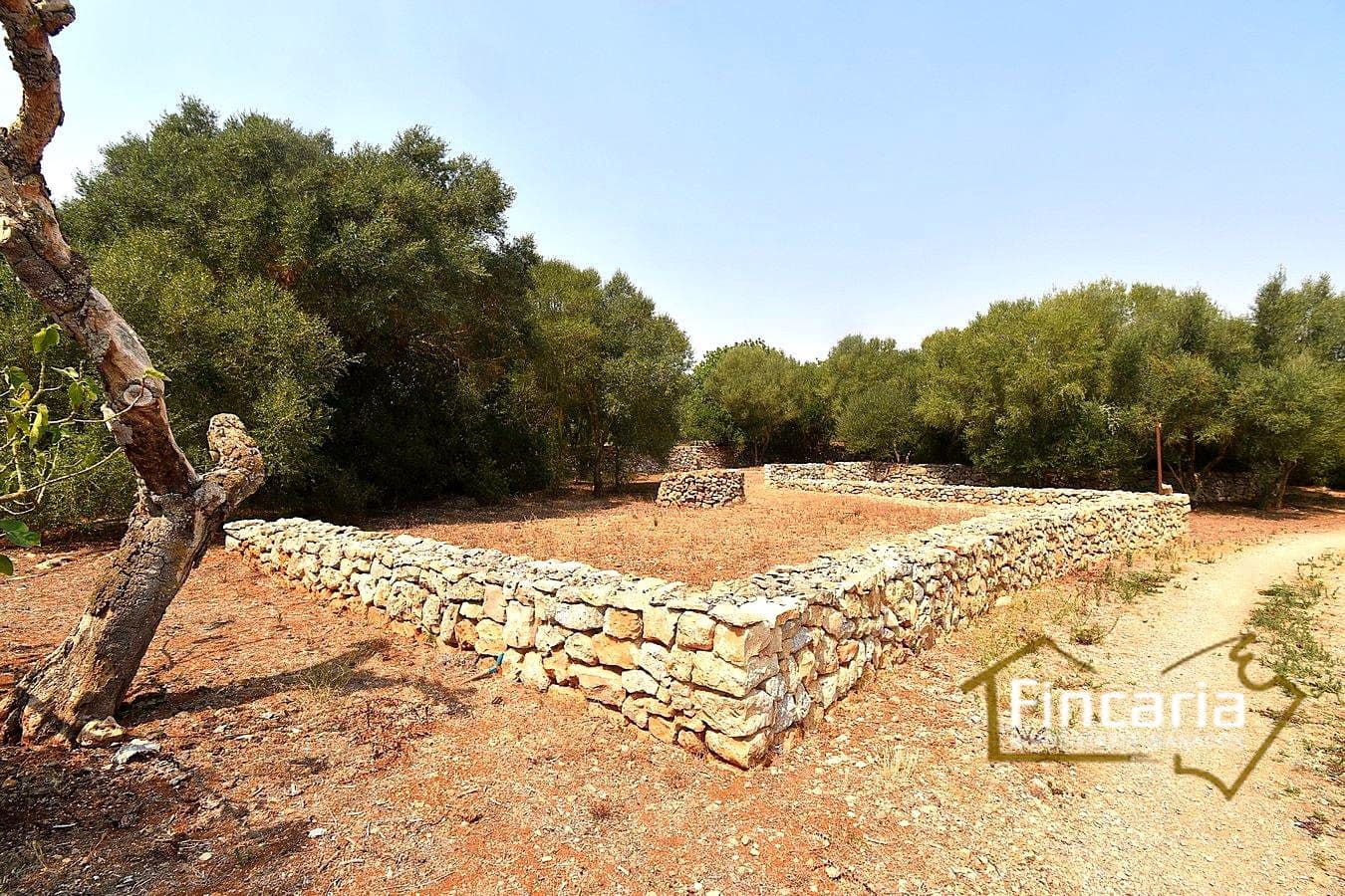 2 quarto Quinta/Casa Rural para venda em Manacor - 675 000 € (Ref: 9167488)