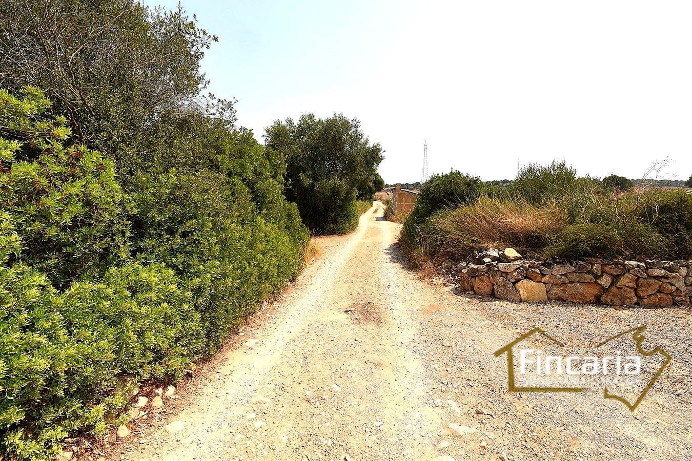 2 quarto Quinta/Casa Rural para venda em Manacor - 675 000 € (Ref: 9167488)