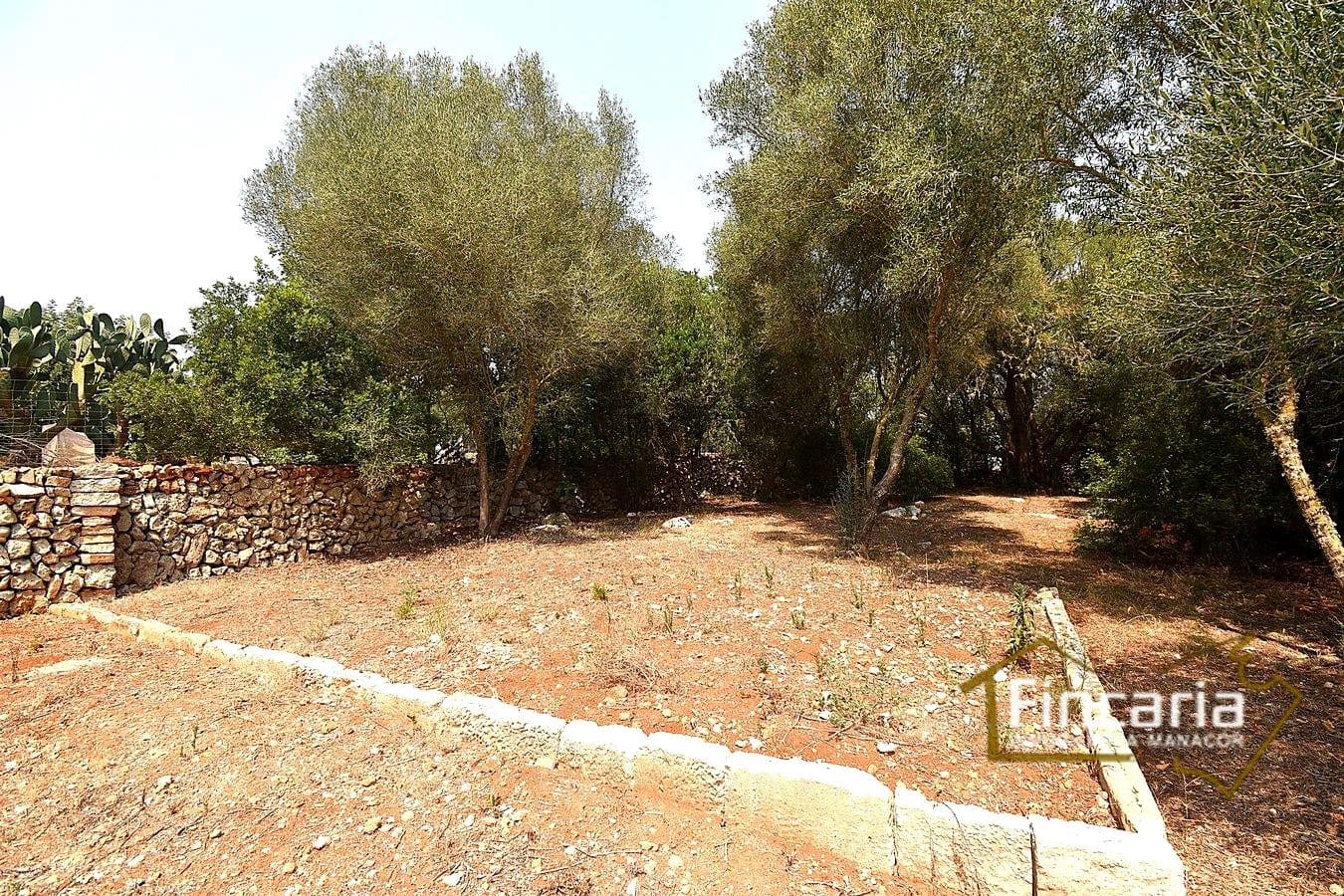 2 quarto Quinta/Casa Rural para venda em Manacor - 675 000 € (Ref: 9167488)