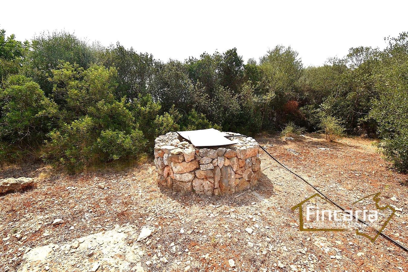 2 quarto Quinta/Casa Rural para venda em Manacor - 675 000 € (Ref: 9167488)