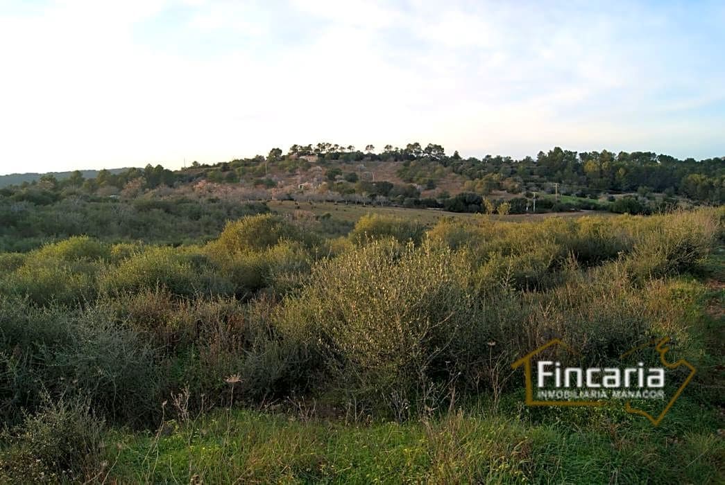 Grunde uden byggetilladelser til salg i Sant Joan - € 195.000 (Ref: 9282406)