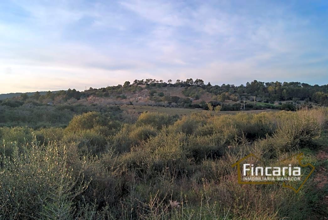 Grunde uden byggetilladelser til salg i Sant Joan - € 195.000 (Ref: 9282406)