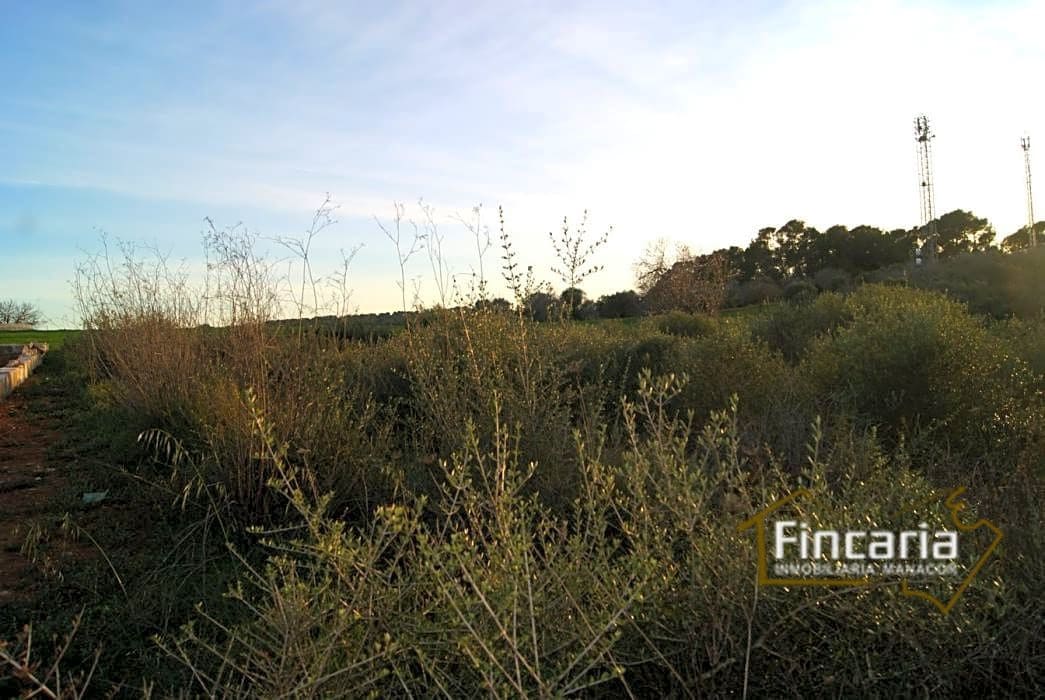 Grunde uden byggetilladelser til salg i Sant Joan - € 195.000 (Ref: 9282406)