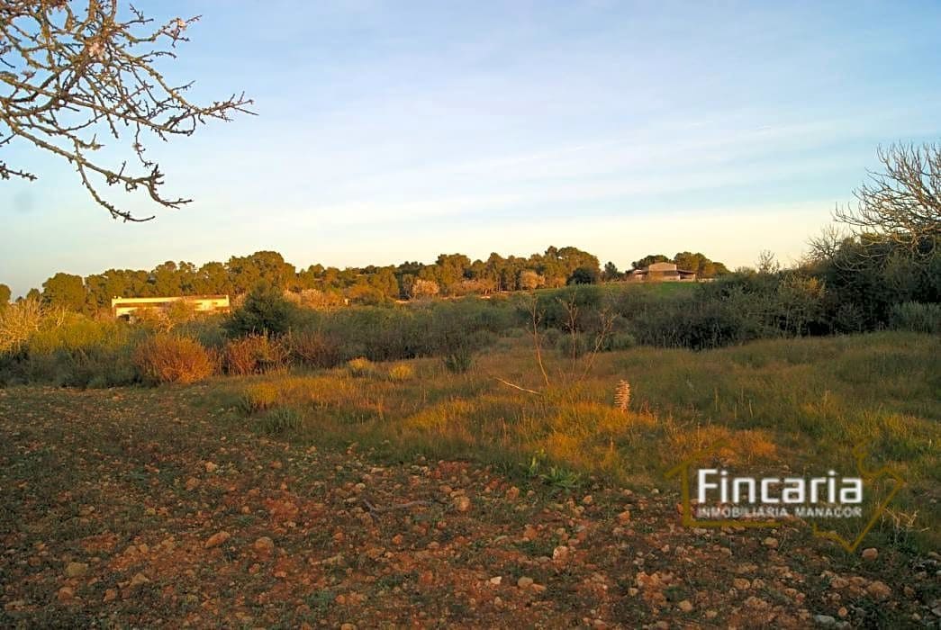 Grunde uden byggetilladelser til salg i Sant Joan - € 195.000 (Ref: 9282406)