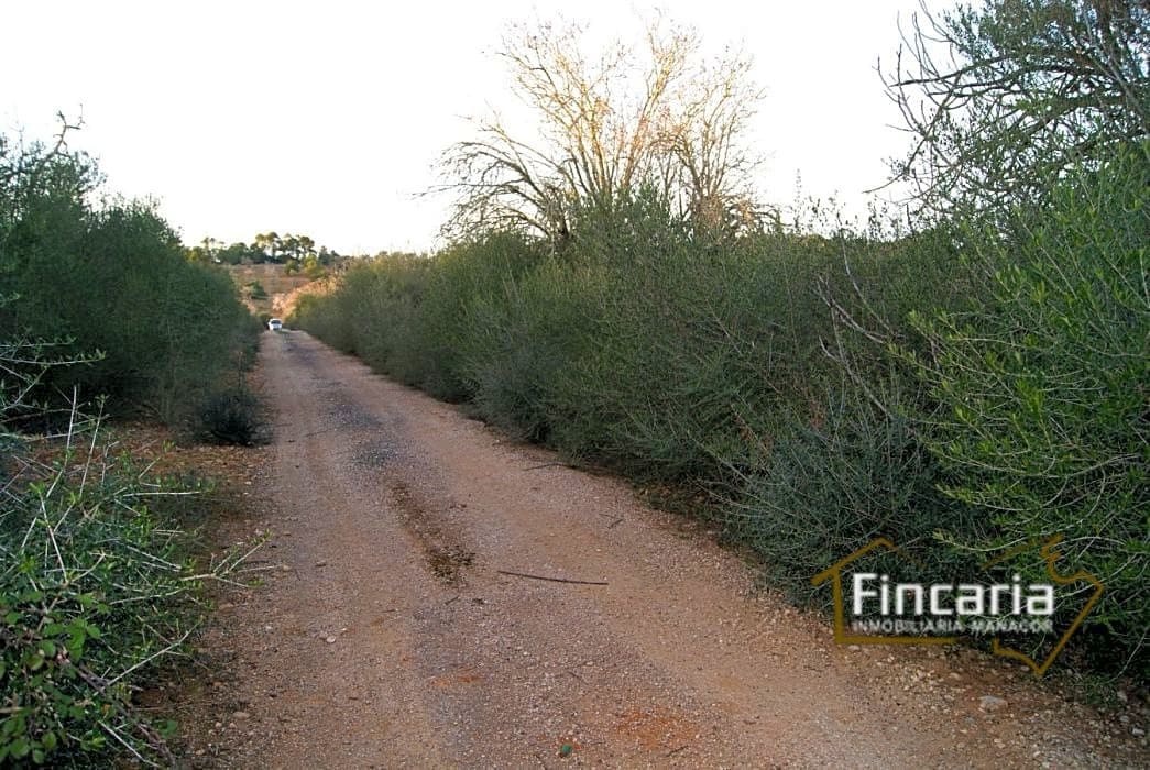 Grunde uden byggetilladelser til salg i Sant Joan - € 195.000 (Ref: 9282406)