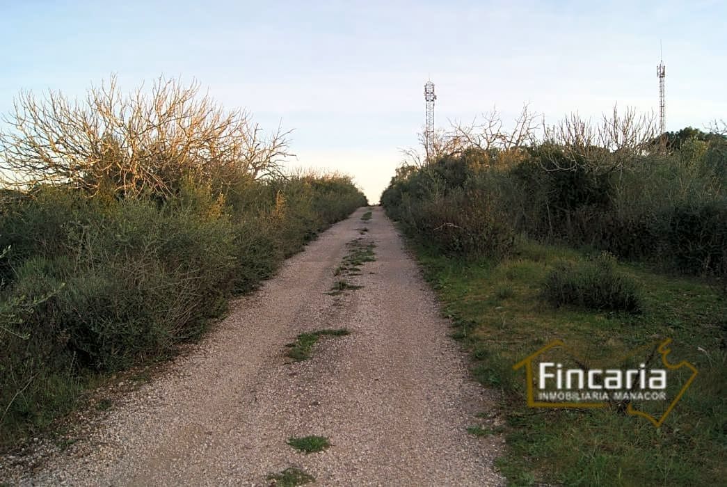 Grunde uden byggetilladelser til salg i Sant Joan - € 195.000 (Ref: 9282406)