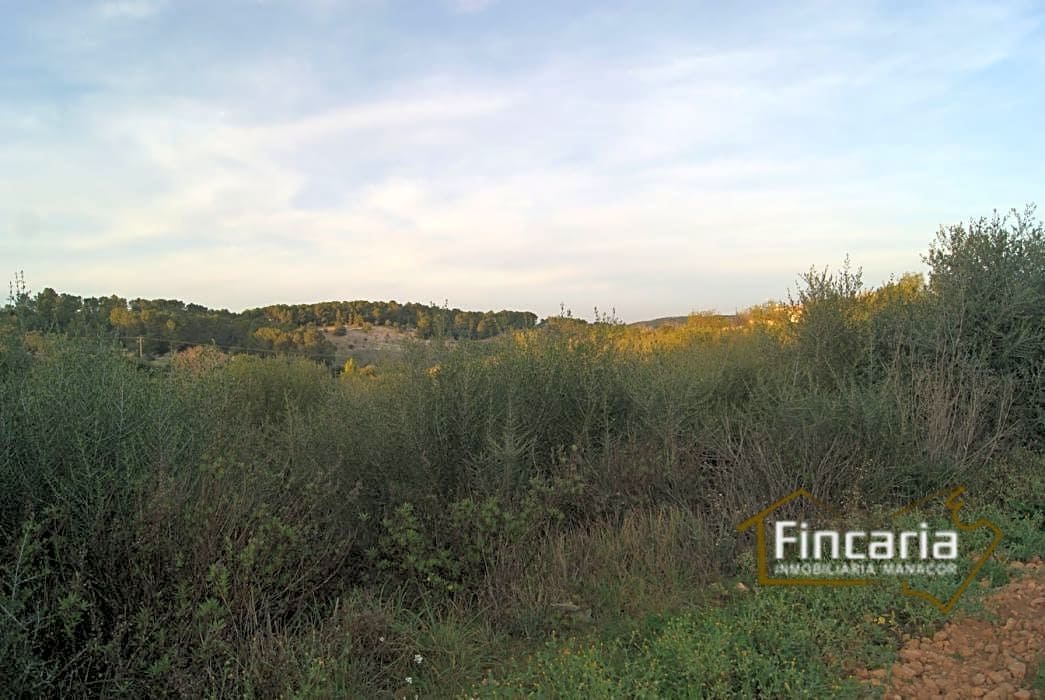 Grunde uden byggetilladelser til salg i Sant Joan - € 195.000 (Ref: 9282406)