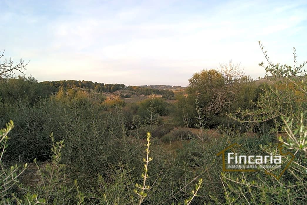 Grunde uden byggetilladelser til salg i Sant Joan - € 195.000 (Ref: 9282406)