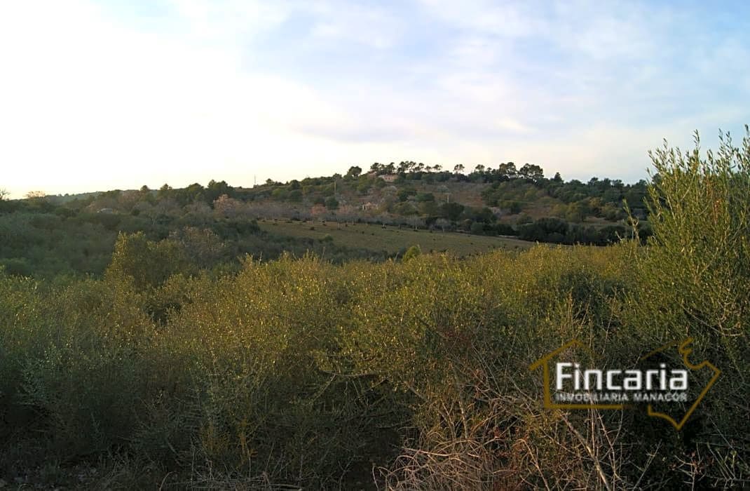 Grunde uden byggetilladelser til salg i Sant Joan - € 195.000 (Ref: 9282406)