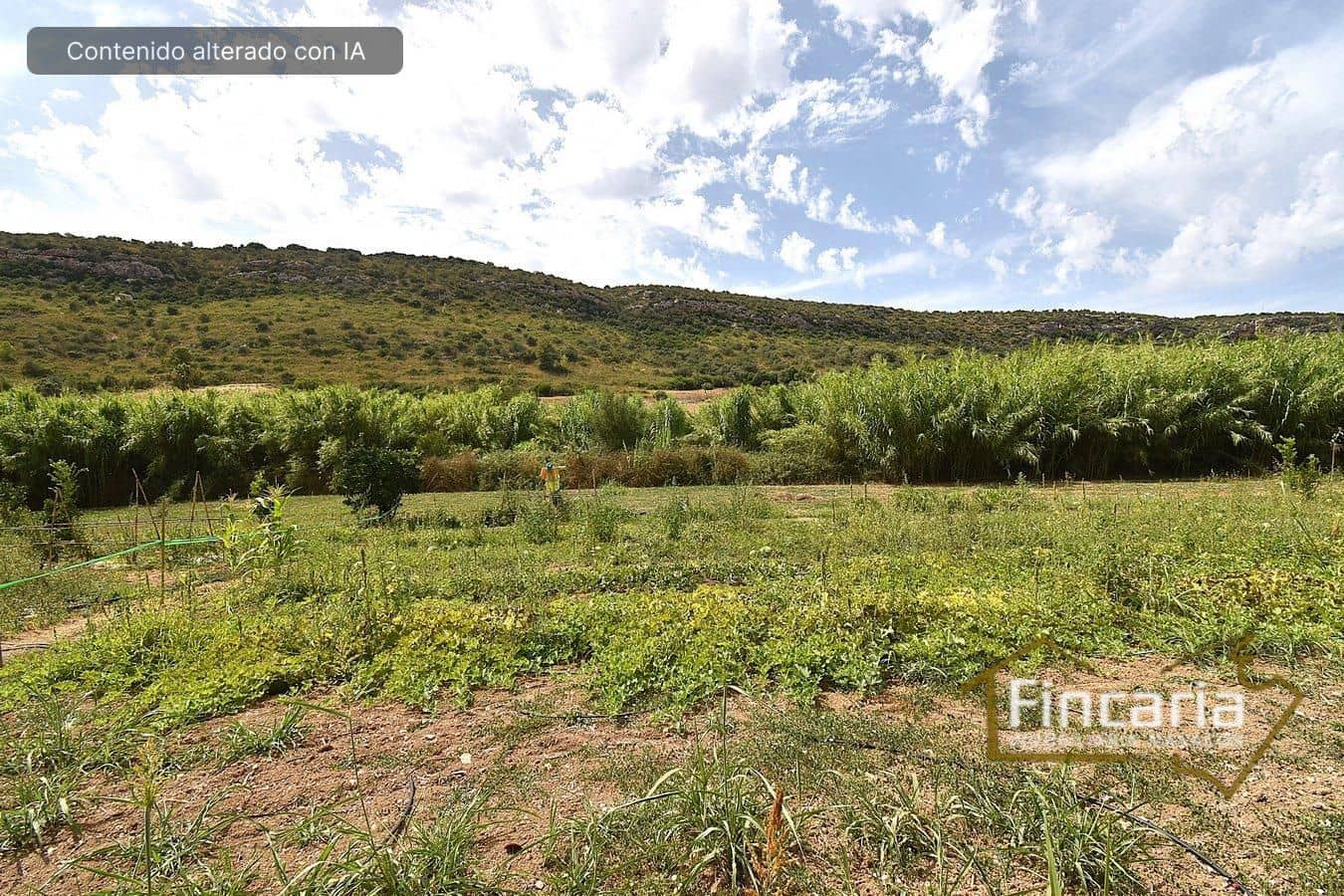 3 soverom Finca/Herregård til salgs i Manacor - € 372 000 (Ref: 9319644)