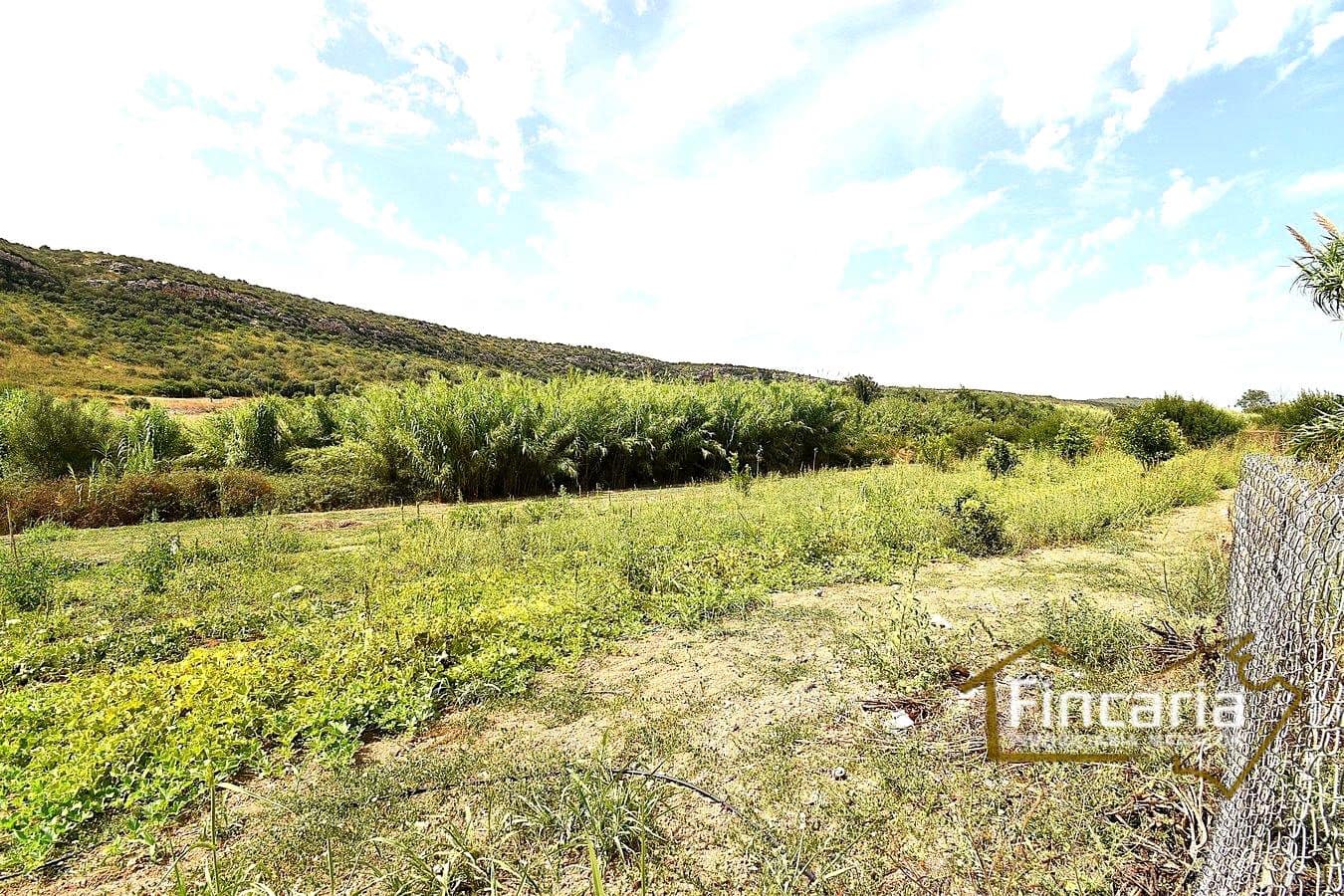 3 soverom Finca/Herregård til salgs i Manacor - € 265 000 (Ref: 9319644)