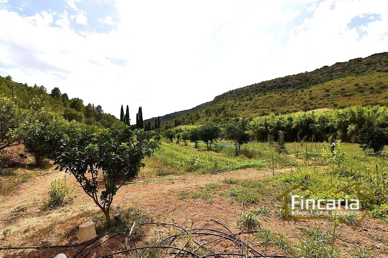 3 soverom Finca/Herregård til salgs i Manacor - € 265 000 (Ref: 9319644)