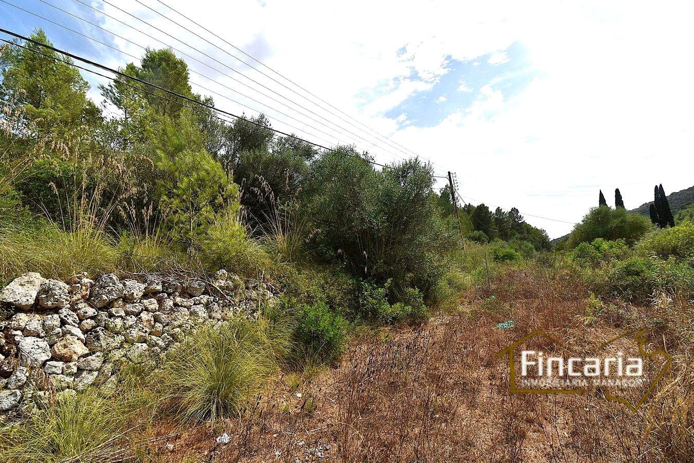 3 soverom Finca/Herregård til salgs i Manacor - € 265 000 (Ref: 9319644)