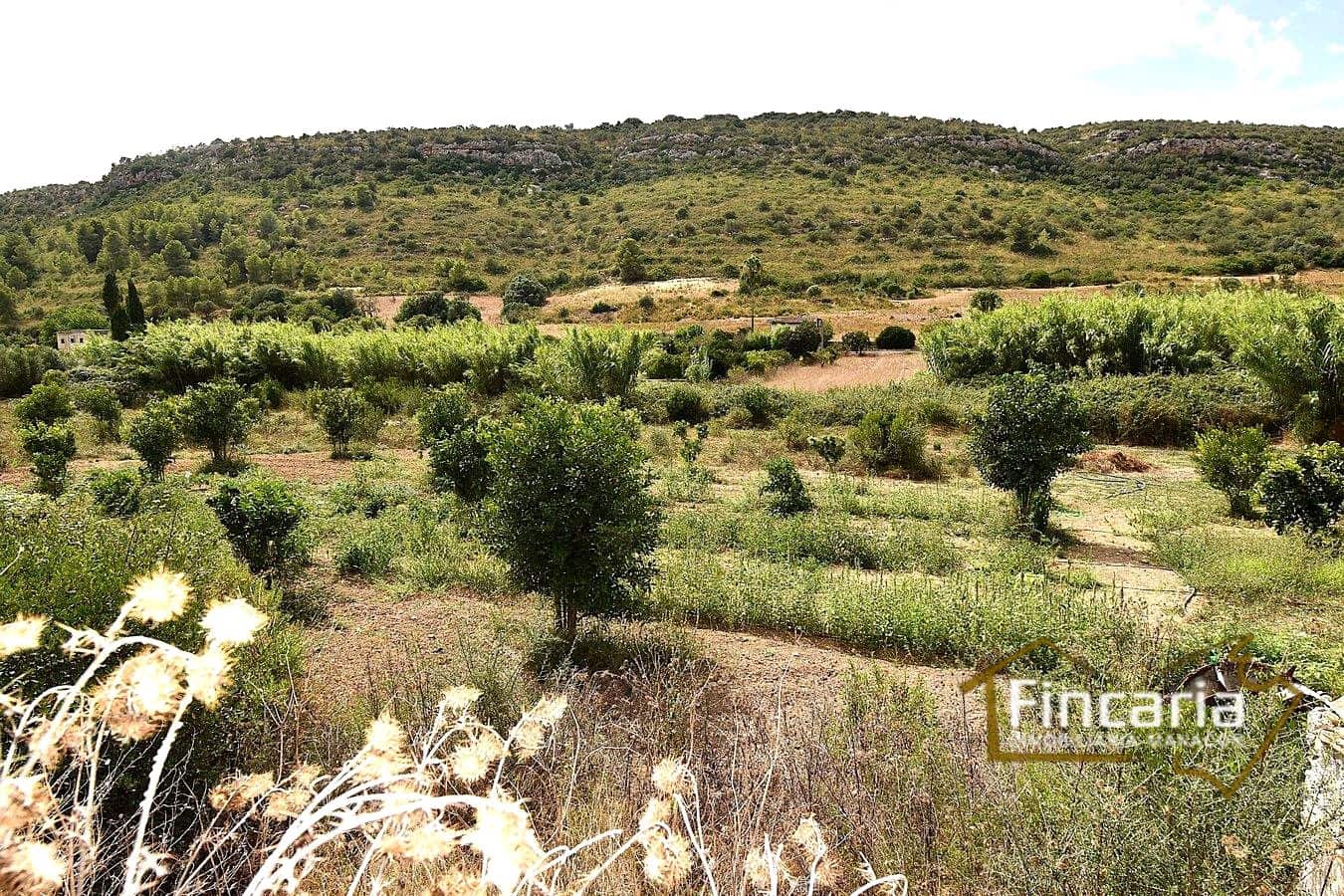 3 soverom Finca/Herregård til salgs i Manacor - € 265 000 (Ref: 9319644)