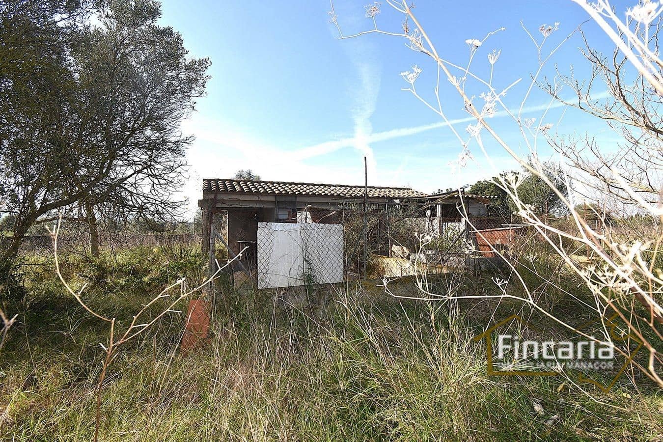 3 bedroom Finca/Country House for sale in Manacor - € 250,000 (Ref: 9448503)
