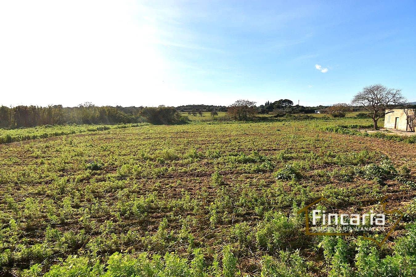 1 camera da letto Villa in vendita in Manacor - 225.000 € (Rif: 9506809)