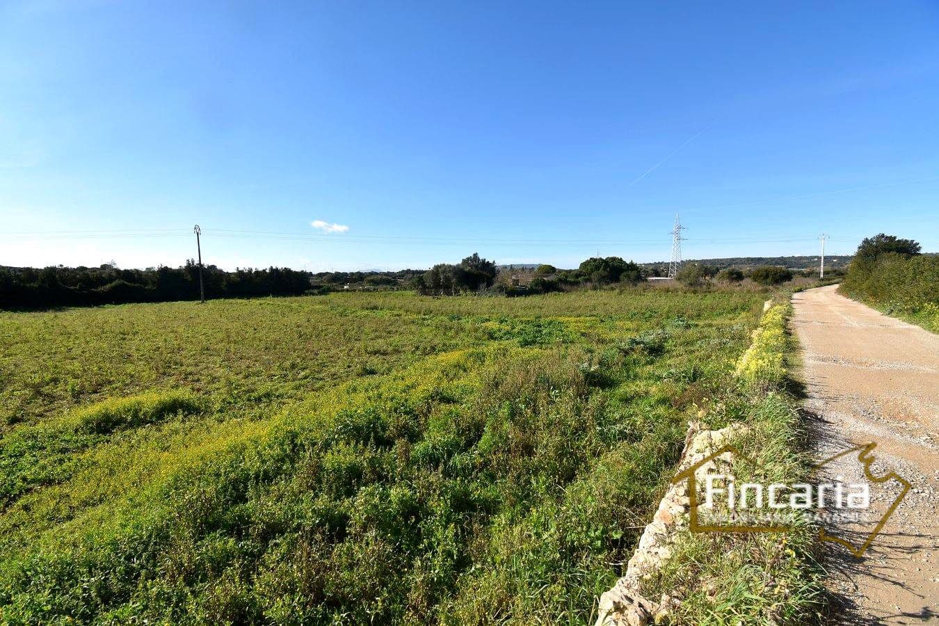 1 camera da letto Villa in vendita in Manacor - 225.000 € (Rif: 9506809)