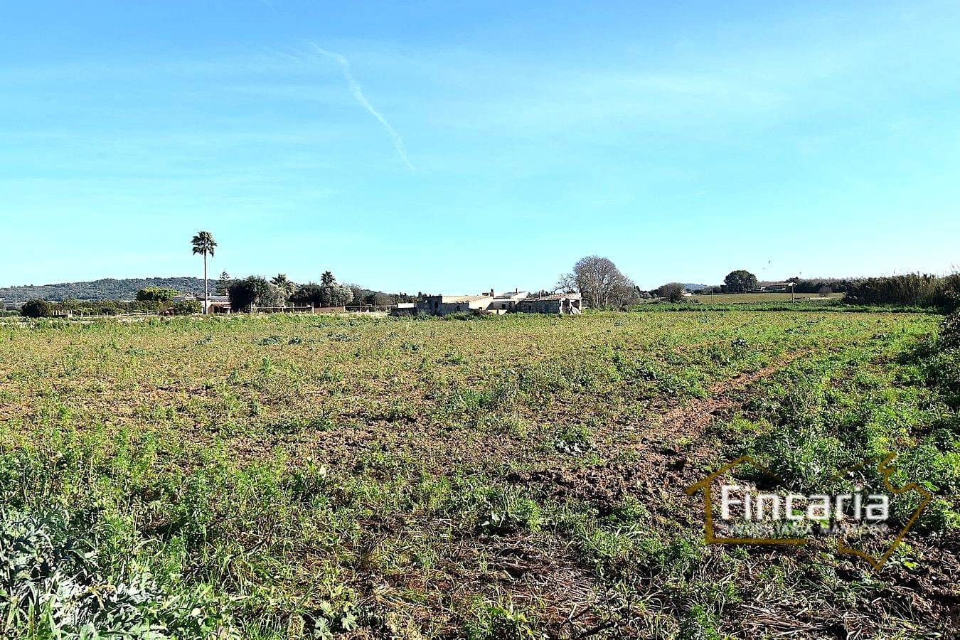 1 camera da letto Villa in vendita in Manacor - 225.000 € (Rif: 9506809)