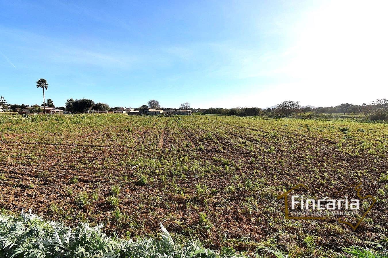 1 camera da letto Villa in vendita in Manacor - 225.000 € (Rif: 9506809)