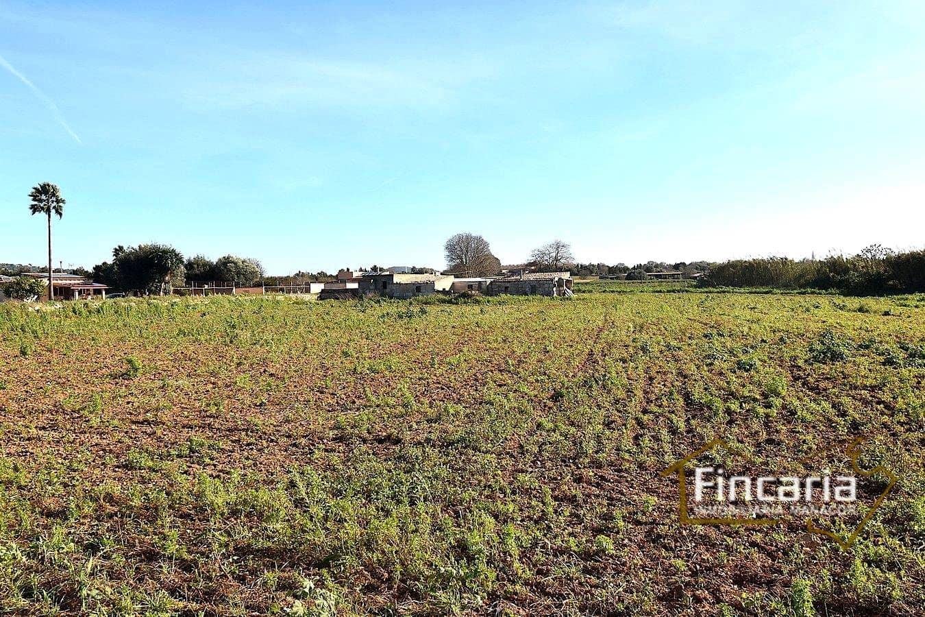 1 camera da letto Villa in vendita in Manacor - 225.000 € (Rif: 9506809)