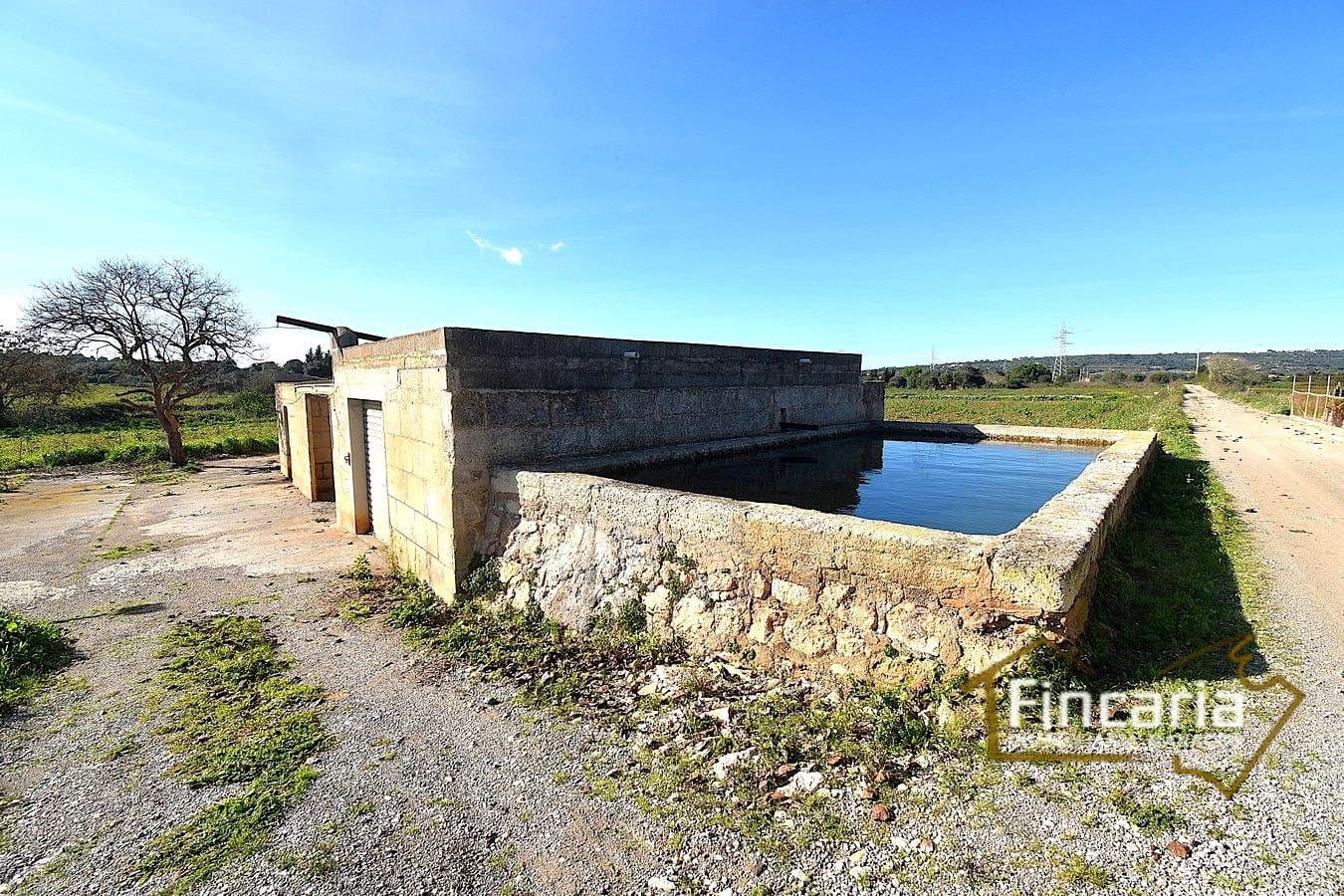 1 sypialnia Finka/Dom wiejski na sprzedaż w Manacor - 225 000 € (Ref: 9506809)