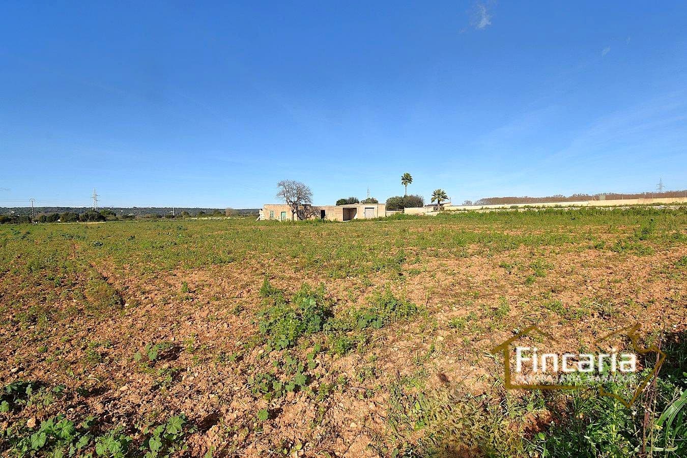 1 sypialnia Finka/Dom wiejski na sprzedaż w Manacor - 225 000 € (Ref: 9506809)