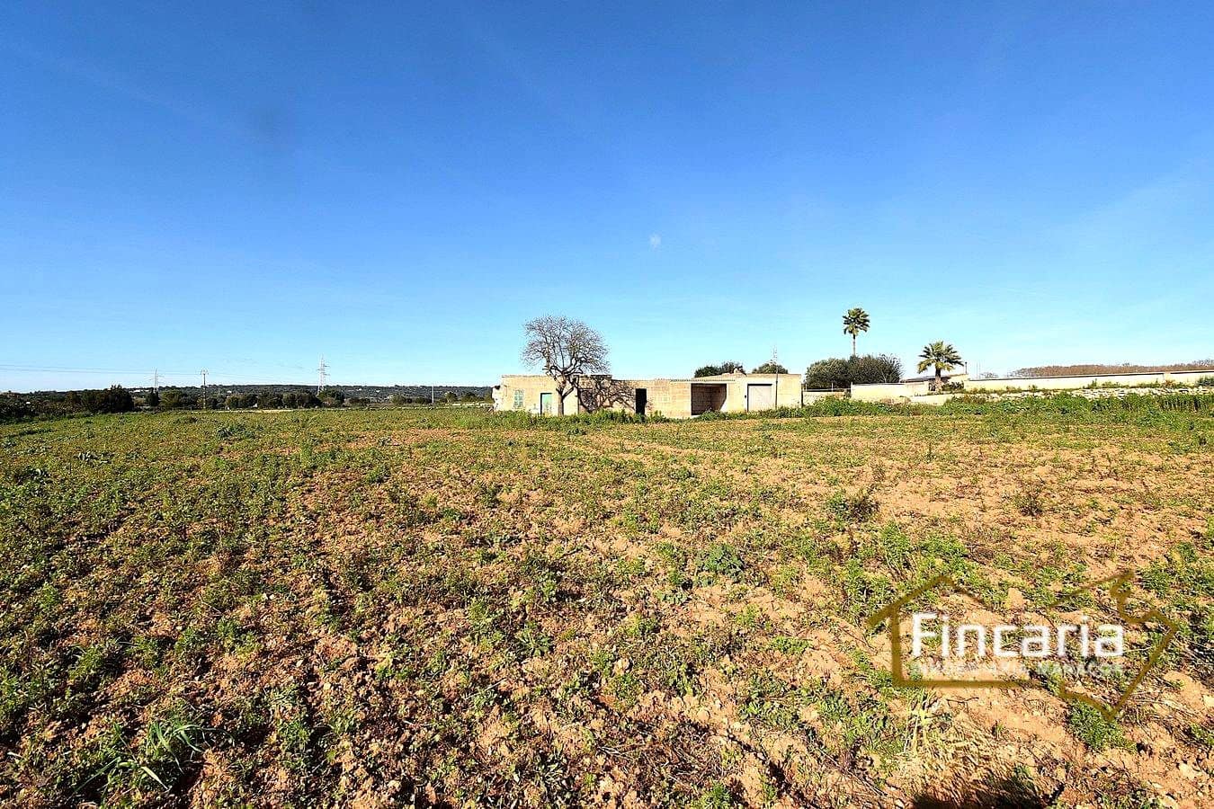 1 sypialnia Finka/Dom wiejski na sprzedaż w Manacor - 225 000 € (Ref: 9506809)